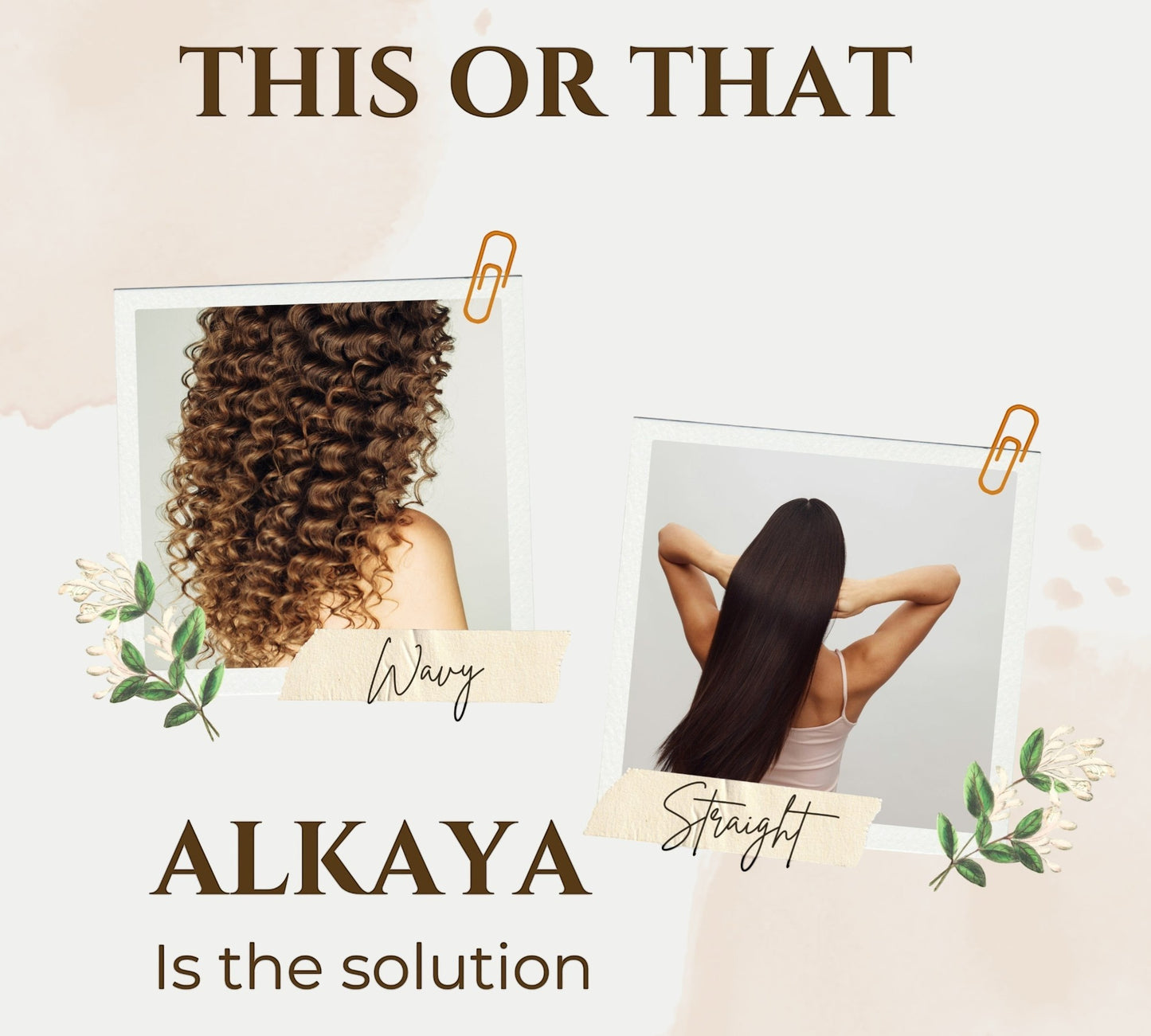 Alkaya Shampoo + Conditioner